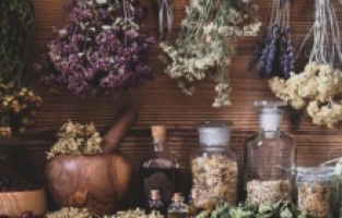 Gençleştiren şifalı otlar