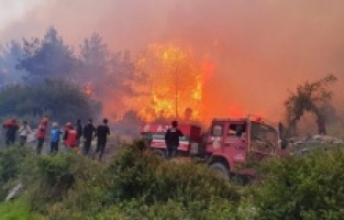 Hatay'da ormanlık alanda çıkan yangına havadan müdahale edilemiyor