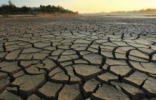 İklim krizinin olmadığını savunan reklamlar yasaklandı