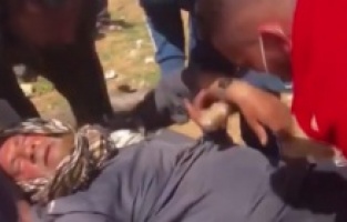 İşgalci İsrail güçleri, Filistinli yaşlı çiftçiyi darp ederek traktörüne el koydu