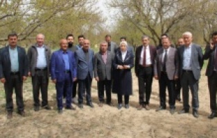 Milletvekili Çalık, kayısı bahçesinde incelemelerde bulundu