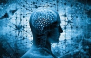 'Tam da dilimin ucunda' diyorsanız dikkat!