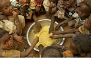 44 milyon insan açlığa doğru gidiyor