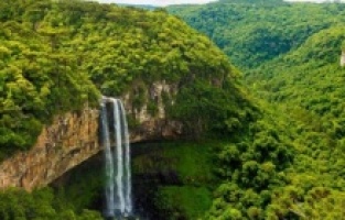 Amazon’da Oldukça Şaşırtıcı Antik Yerleşimler Keşfedildi