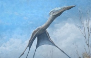 Arjantin’de Dev Uçan Sürüngen ‘Ölüm Ejderhası’ Bulundu