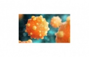 Gizemli Hepatit Türkiye'de Var Mı?