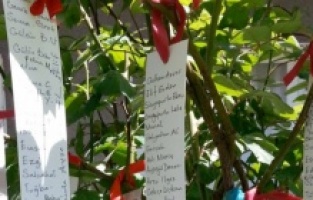 Hıdırellez nedir? Niçin kutlanır ve ne zaman kutlanır?