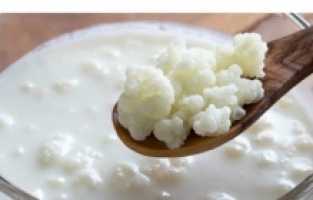 Kefirin faydaları saymakla bitmiyor