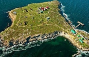 Kendisi Küçük Etkisi Büyük