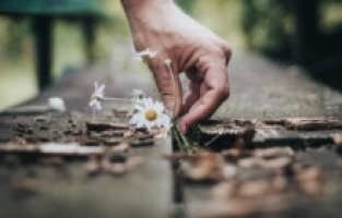 Kişisel gelişimi desteklemenin 8 yolu