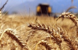 Limanlardaki engeller kalkmazsa milyonlar ölecek