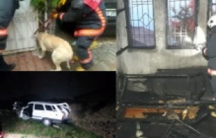 Malatya'da gün içinde meydana gelen asayiş olayları