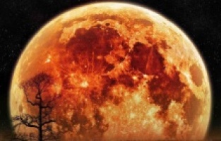 Mars Artık Dünya'da