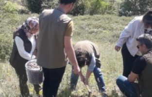 Salep soğanı toplayan 4 kişiye 438 bin lira ceza