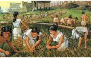 Stonehenge’deki İnsanlar Parazit Bulaşmış Etleri Yemiş