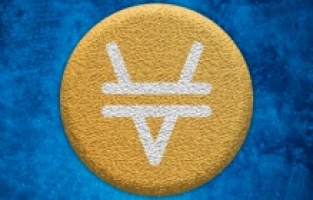 XVS coin nedir? Hangi borsalardan alınır?