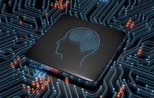 Yapay zeka, röntgenden ırk tahmini yapabiliyor