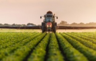 1 yıl boyunca boş bırakılan tarla devlet aracılığıyla başkasına kiralanacak