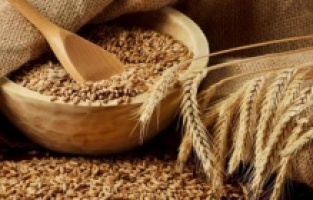 Çiftçilere müjde! TMO arpa ve buğday alım fiyatlarını yükseltti