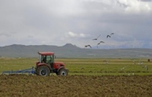 Çiftçilerin beklediği haber geldi! Bugün hesaplara yatacak