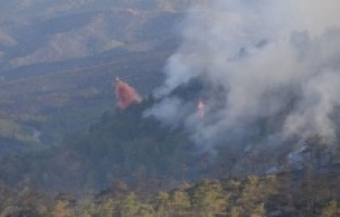 Dehşete düşüren cani ne kadar ceza alacak?