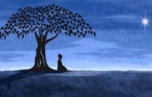 Sessizliğin faydaları saymakla bitmiyor