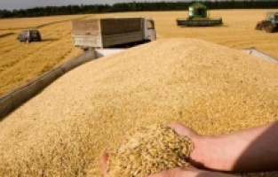 Türkiye ile Rusya'dan tahıl anlaşması