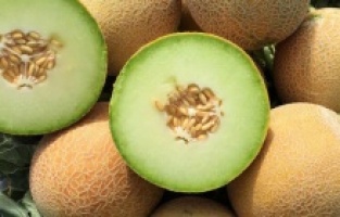 Yaz aylarının en sevilen meyvelerinden kavunun faydaları...