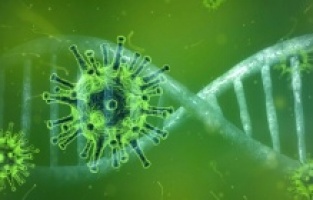 Yeni salgın alarmı!!!