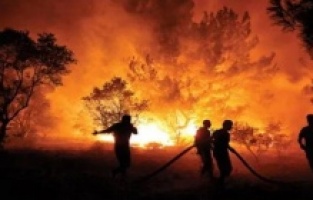 Ormanlık alanlara girişler 31 Ağustos'a kadar yasaklandı!