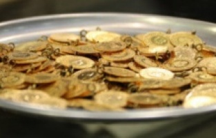 Altın fiyatları bugün ne kadar?