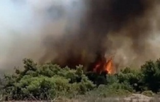 Antalya'da korkutan orman yangını!