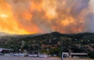 Aydın Söke'de orman yangını