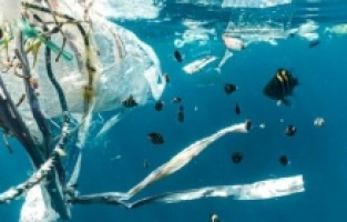 Bundan sonra okyanusların temizliğini robotlar üstelenecek