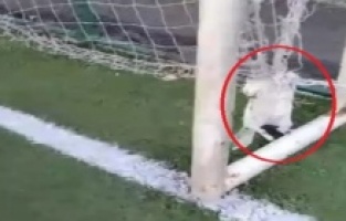 Diyarbakır'da akılalmaz olay yaşandı!!!