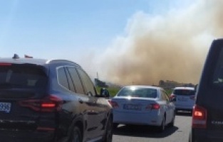 İzmir Bergama ormanında dumanlar yükselmeye başladı