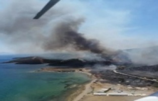 İzmir Seferihisar'da orman yangını!