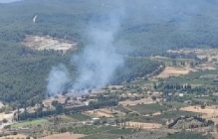 İzmir yine yanıyor...