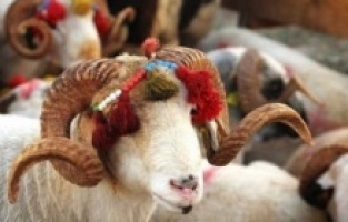 Kurban keserken hangi dualar okunur?