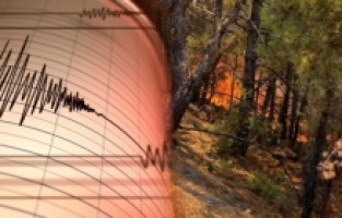 Önce deprem sonra orman yangını!