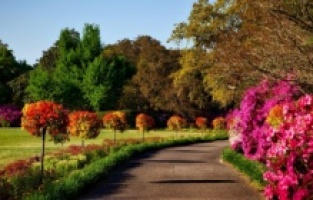 Rüyada bahçe görmek ne anlama gelir?