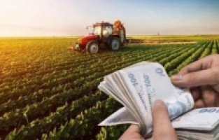 Tarımsal destek ödemeleri bugün hesaplara yatıyor