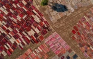 Antalya'da halı tarlalarının görsel şöleni