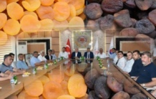 Kayısıda 1 ayda 375 milyon dolar gelir elde edildi