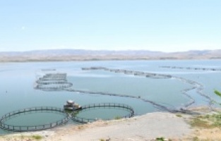 Malatya’da Tarıma Dayalı Su Ürünleri Yetiştiriciliği OSB kuruluyor