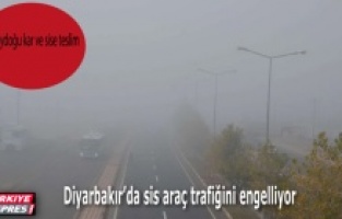 Güneydoğu kar ve sise teslim