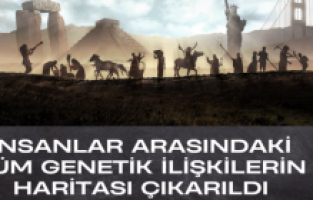 İnsanlar arasındaki tüm genetik ilişkilerin haritası çıkarıldı