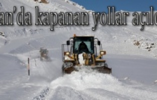 Van’da kar ve tipi nedeniyle kapanan tüm yollar açıldı.