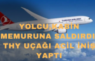 Yolcu, kabin memuruna saldırdı, THY uçağı acil iniş yaptı