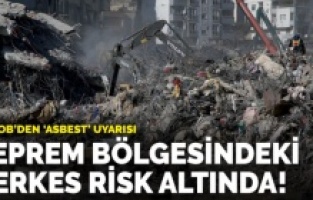 Prof. Dr. Kocatürk: Bölgede Asbest ve Akciğer Zarı Kanseri Riski Artacak